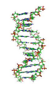 DNA_orbit_animated