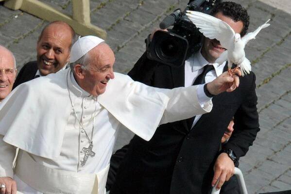 pope like adove